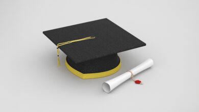 NLNG Undergraduate Scholarship