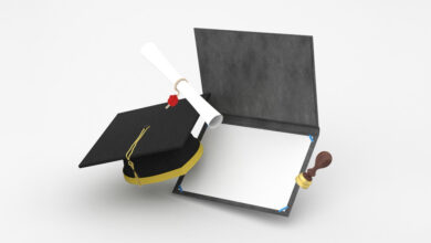 schulich leader scholarship