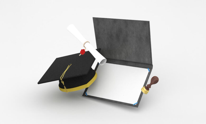 schulich leader scholarship